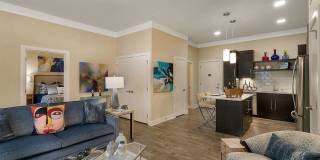 Aster Apartments Gallery 20