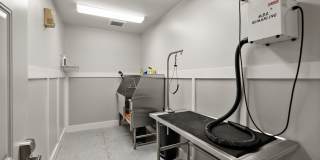 Thea's Landing Gallery 48