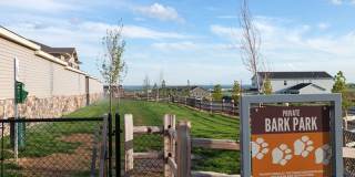 Prairie Pines Gallery 7