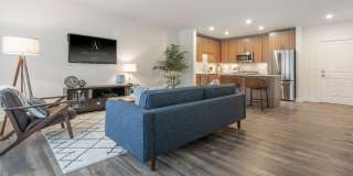 Arlington 360 Gallery 6