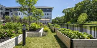 The Cove Hingham The Cove Hingham Gallery 19