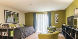 The Falls Gallery 31