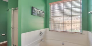 2515 Winterville Drive Gallery 20