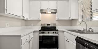 Coronado Palms Gallery 18