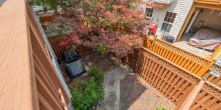 5011 WAPLE Lane Gallery 38