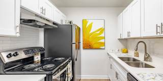 Waterview at Rocky Point Apartments Gallery 7