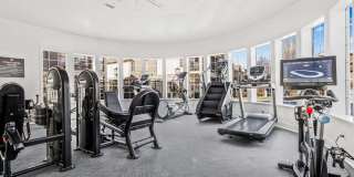 The Soleil Gallery 10