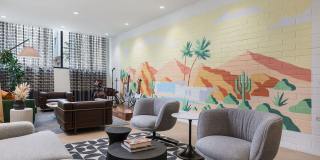 Starlight Gallery 17