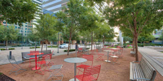 Windsor Cityline Gallery 45