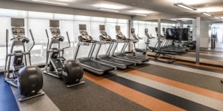 Lex and Leo at Waterfront Station Gallery 7