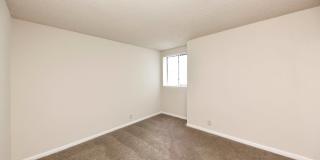 Noah's Landing Gallery 11