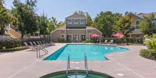 Woodland Meadow Gallery 1