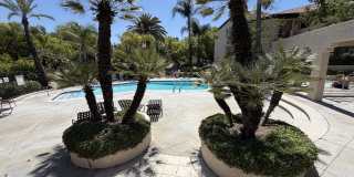 24111 Del Monte Dr. Gallery 24