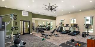 Jefferson Avena Gallery 13