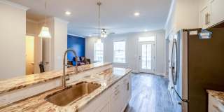 20656 RIVER LIFFEY Terrace Gallery 14