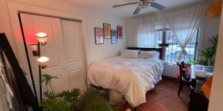 1609 Sydenham Gallery 106