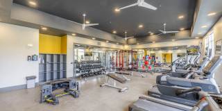 Fusion 355 Gallery 22