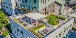 Edition Apartments Gallery 25