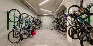 The Carousel Gallery 33