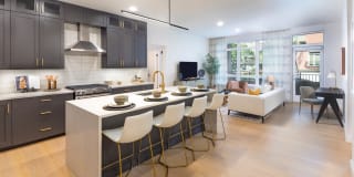 Modera Cherry Creek Gallery 1