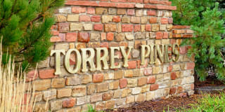 Torrey Pines Torrey Pines Gallery 1