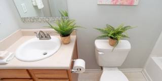 3017 Everbloom Way Gallery 6