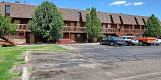 The Double Tree Apartments, offer comfortable and affordable living just minutes from the CMU campus The Double Tree Apartments, offer comfortable and affordable living just minutes from the CMU campus Gallery 6
