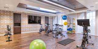 Cortland Biltmore Gallery 21