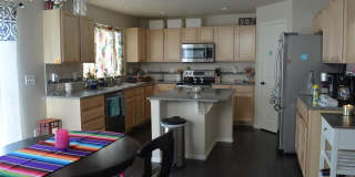 4803 San Amels Way Gallery 7