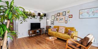 924 Lutz Avenue Gallery 4