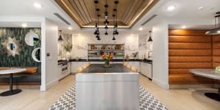 The Signal Gallery 16