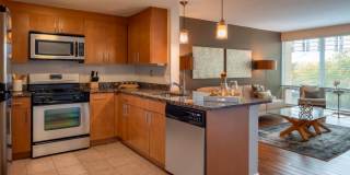 Concord Crystal City Gallery 1