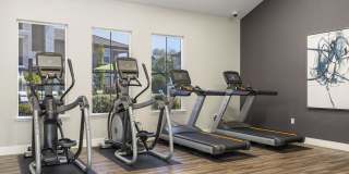 Coventry Park Gallery 67