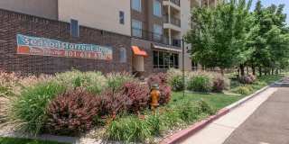 Seasons at Library Square Gallery 11