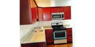 39 Beech Glen St #2B Boston MA 02119 Gallery 7