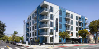 The Charlie Mar Vista Gallery 52