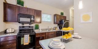 Monon Living Gallery 35