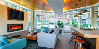 Equinox Gallery 43