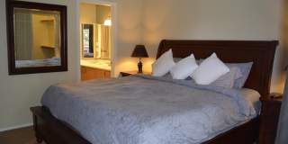 10101 N ARABIAN Trail Gallery 6
