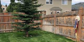 Awesome 4 Bedroom 3 Bath Draper Home in Draper!!! Gallery 14