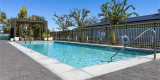 3405 TRANQUIL TRAIL Gallery 75
