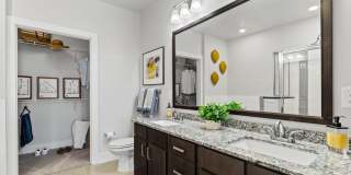 Axis at Watters Creek Gallery 68