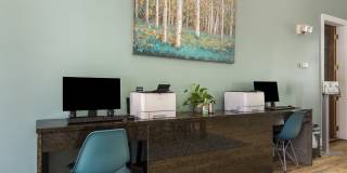 Angel Landing Gallery 20