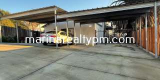 114 Carolina St #B Gallery 19