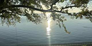 7327 B Street Gallery 1