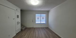 Penthouse Gallery 3