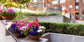 Marina Cove Apartments Gallery 5