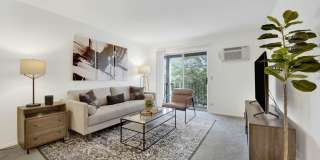 Lakehaven Gallery 13