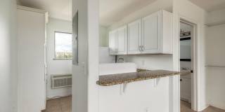 3624 S Atlantic Avenue unit: 203 Gallery 7