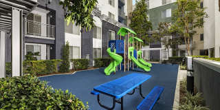Main & Jamboree Apartments Gallery 19